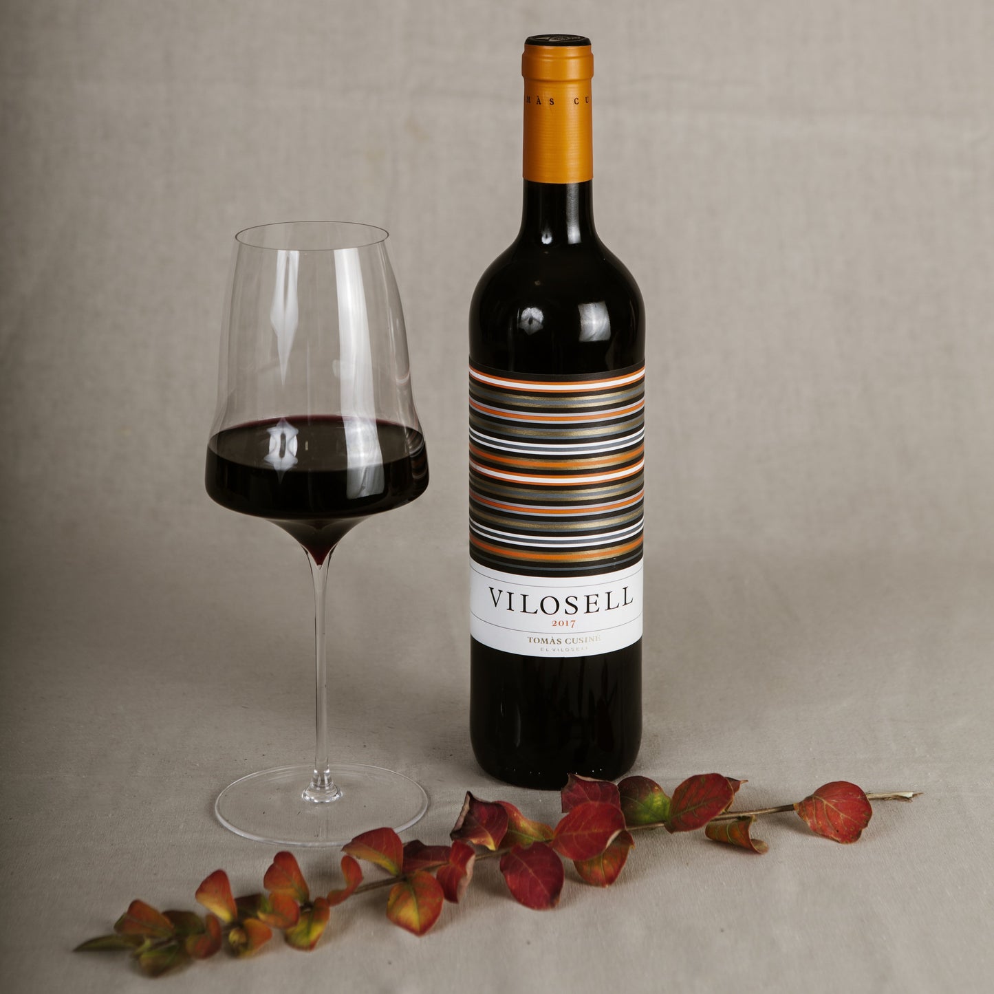 TOMAS CUSINE VILOSELL