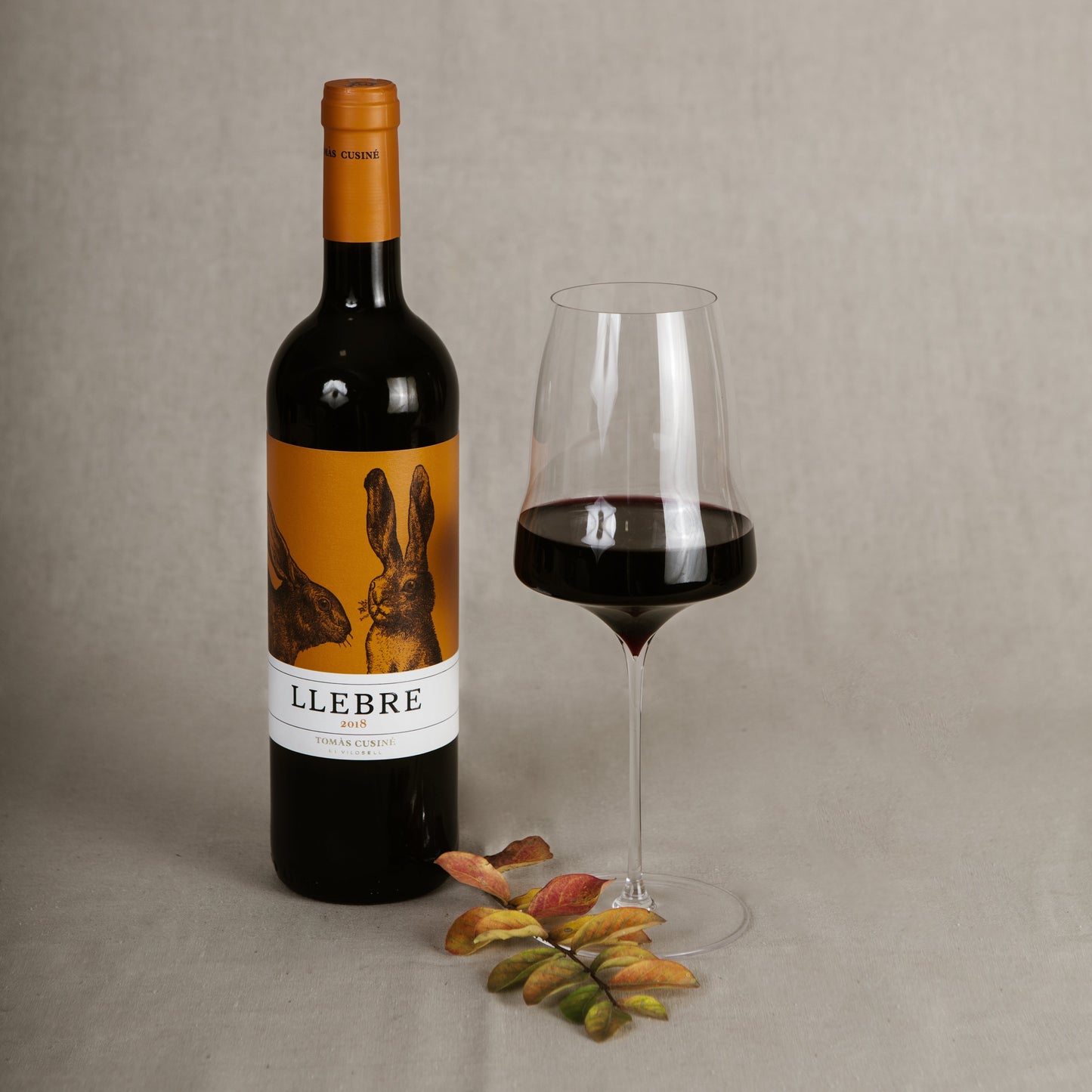 TOMAS CUSINE LLEBRE