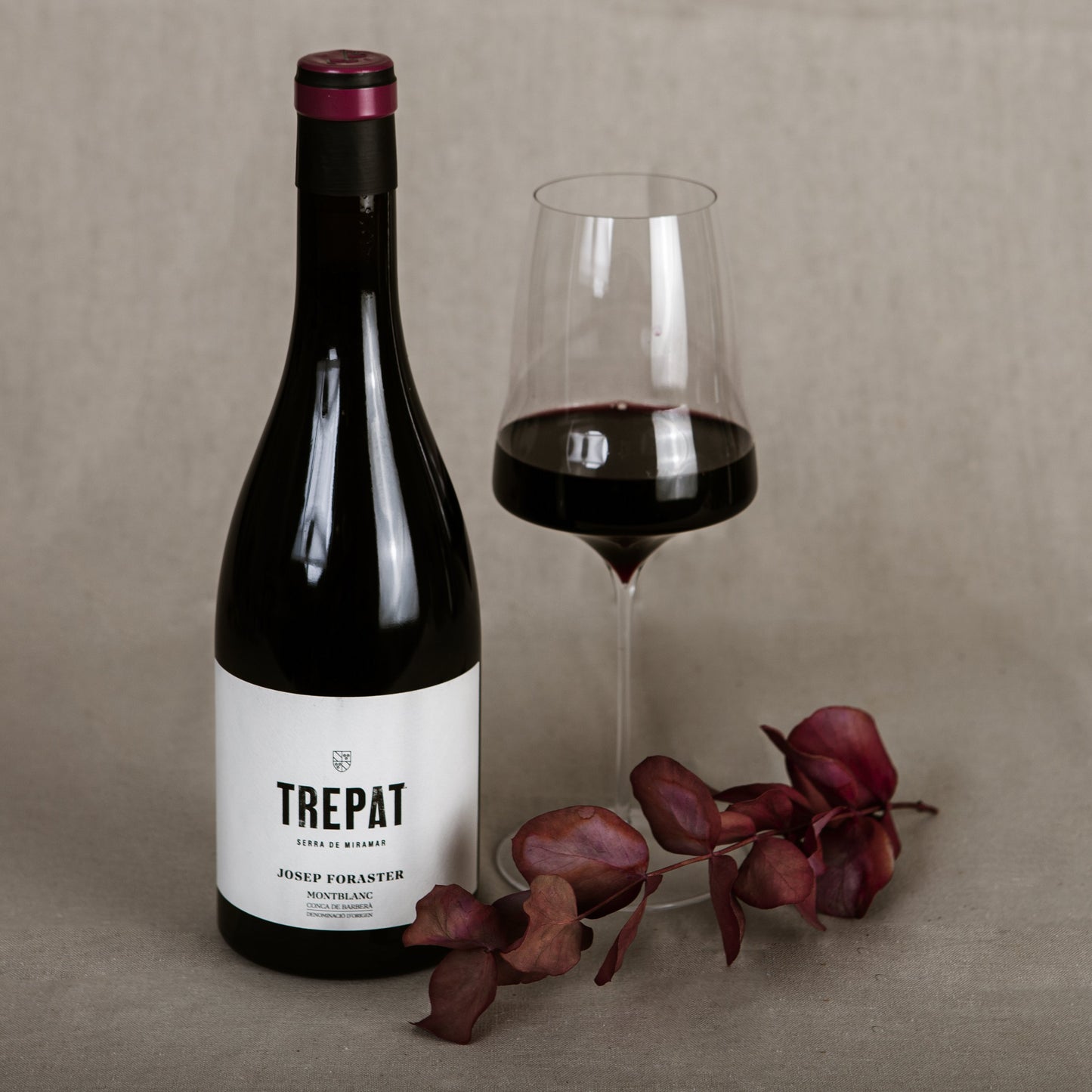 JOSEP FORASTER TREPAT