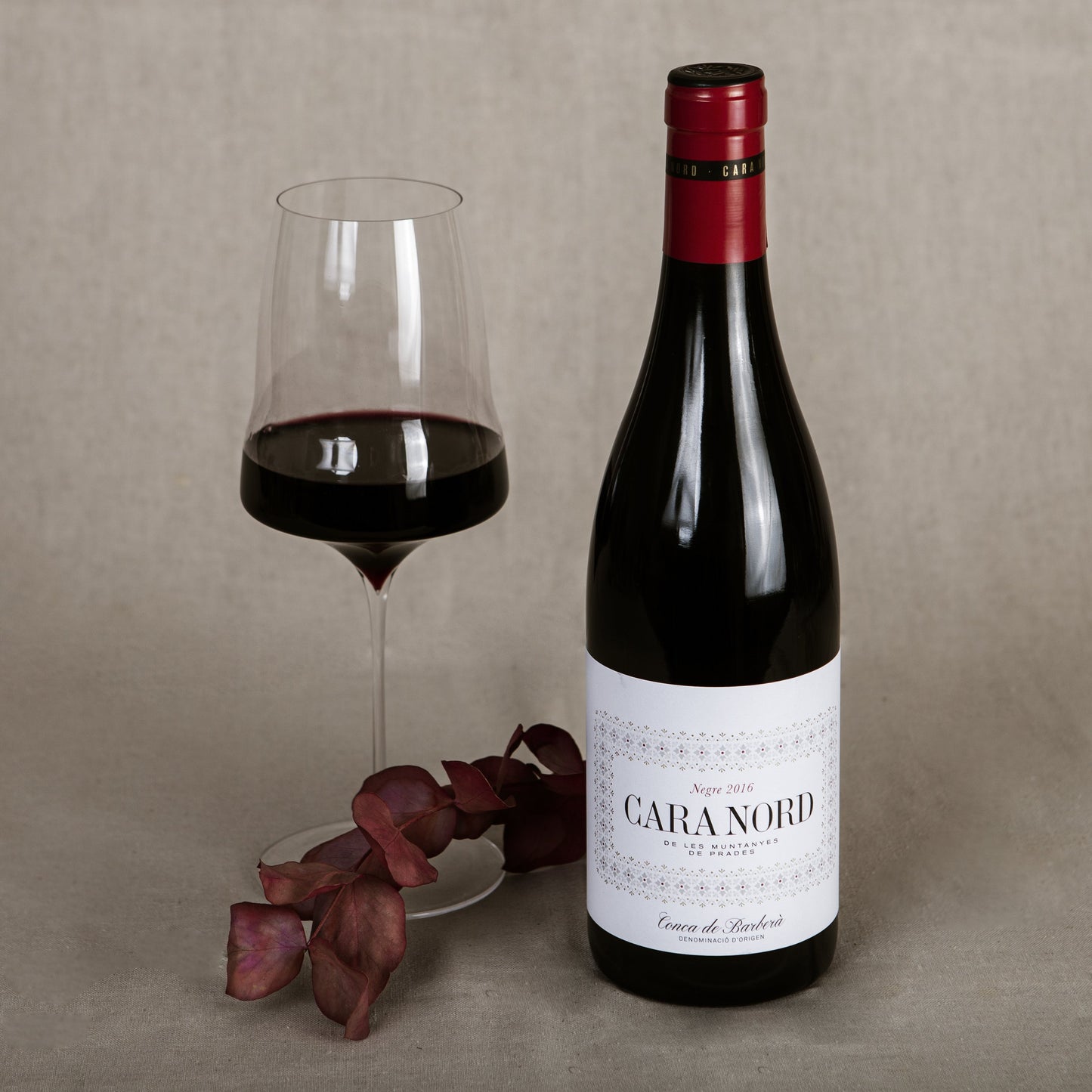 CARA NORD TINTO