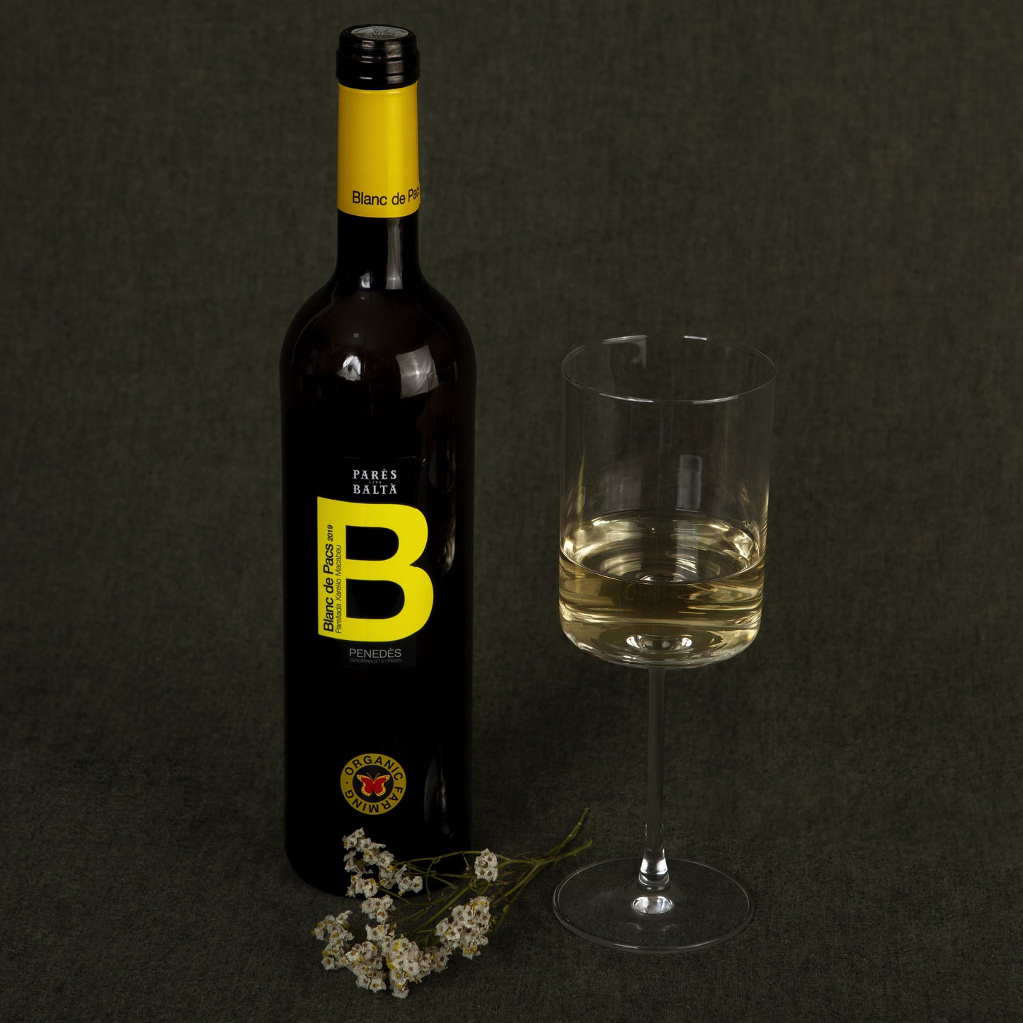 BLANC DE PACS