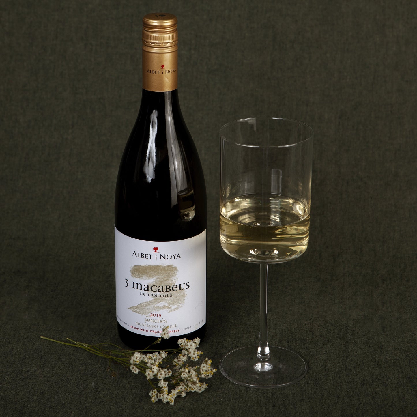 3 MACABEUS BLANCO