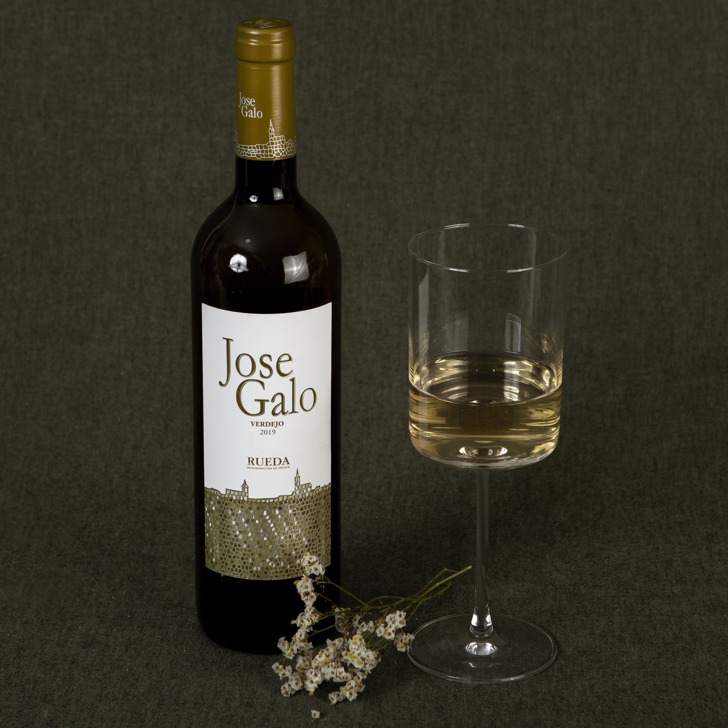 JOSE GALO VERDEJO