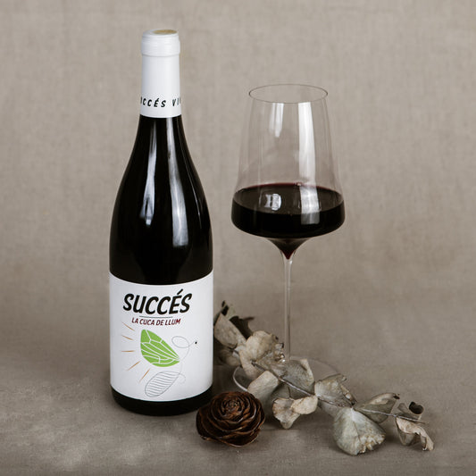 LA CUCA DE LLUM SUCCES